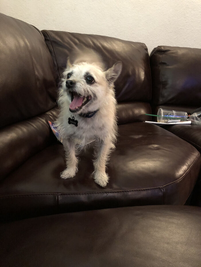 Engine On? Check. Smile Loaded? Check. Tail At Warp Speed? Check!