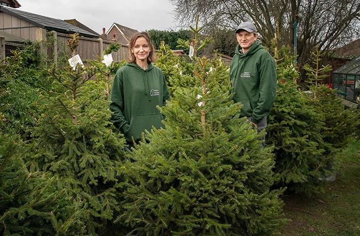 London&rsquo;s Christmas Tree Rental Provides A Solution That Solves The Real VS. Artificial Tree Debate