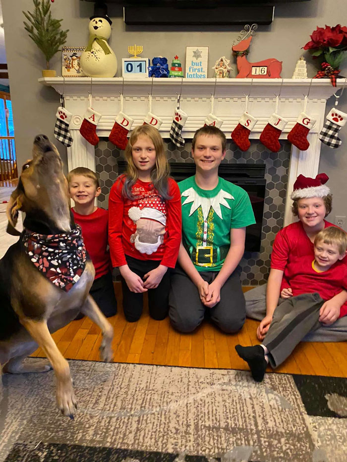 Dog Shamelessly Photobombs Every Single Family Christmas Pic, Ends Up Creating The Perfect Christmas Card Dog Shamelessly Photobombs Every Single Family Christmas Pic, Ends Up Creating The Perfect Christmas Card