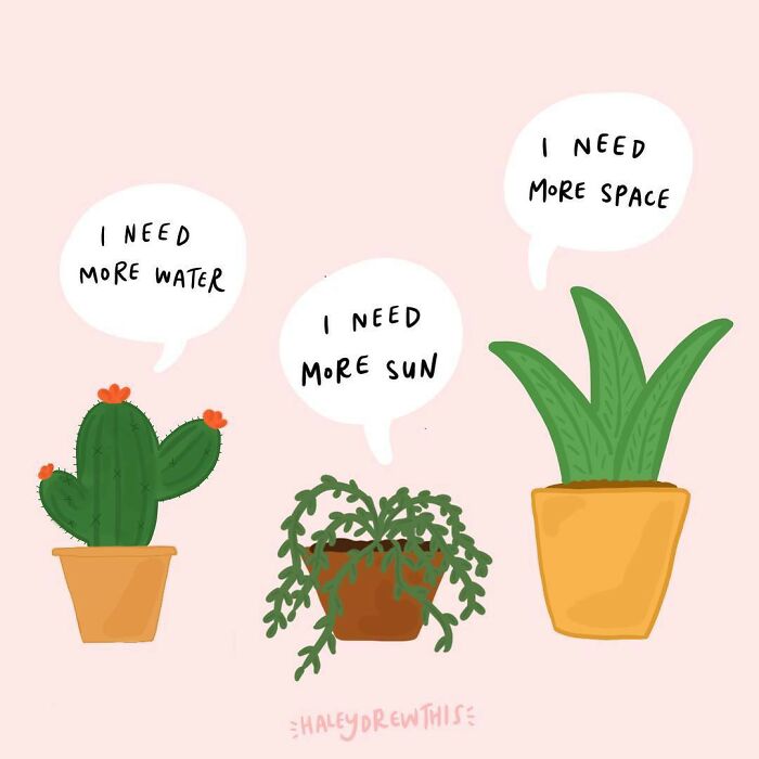 Social-Mental-Issues-Comics-Haley-Weaver