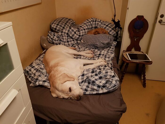 Sharing Is Caring...