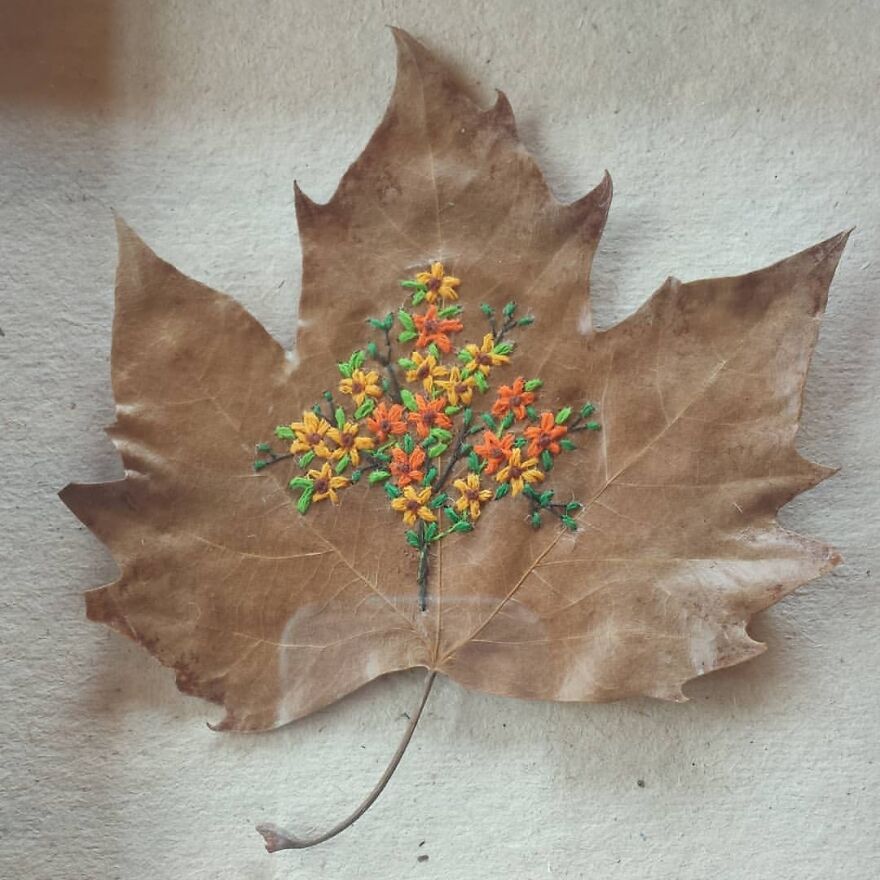 What Nature Discards, This Brazilian Artist Takes The Opportunity To Beautify Life