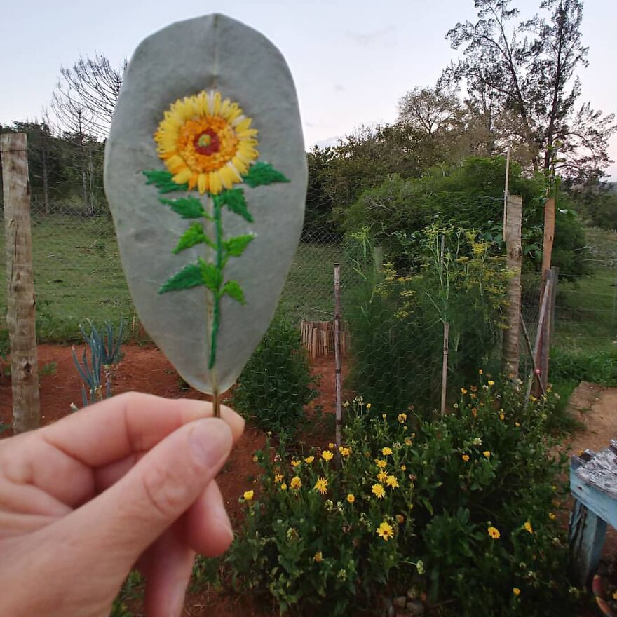 What Nature Discards, This Brazilian Artist Takes The Opportunity To Beautify Life