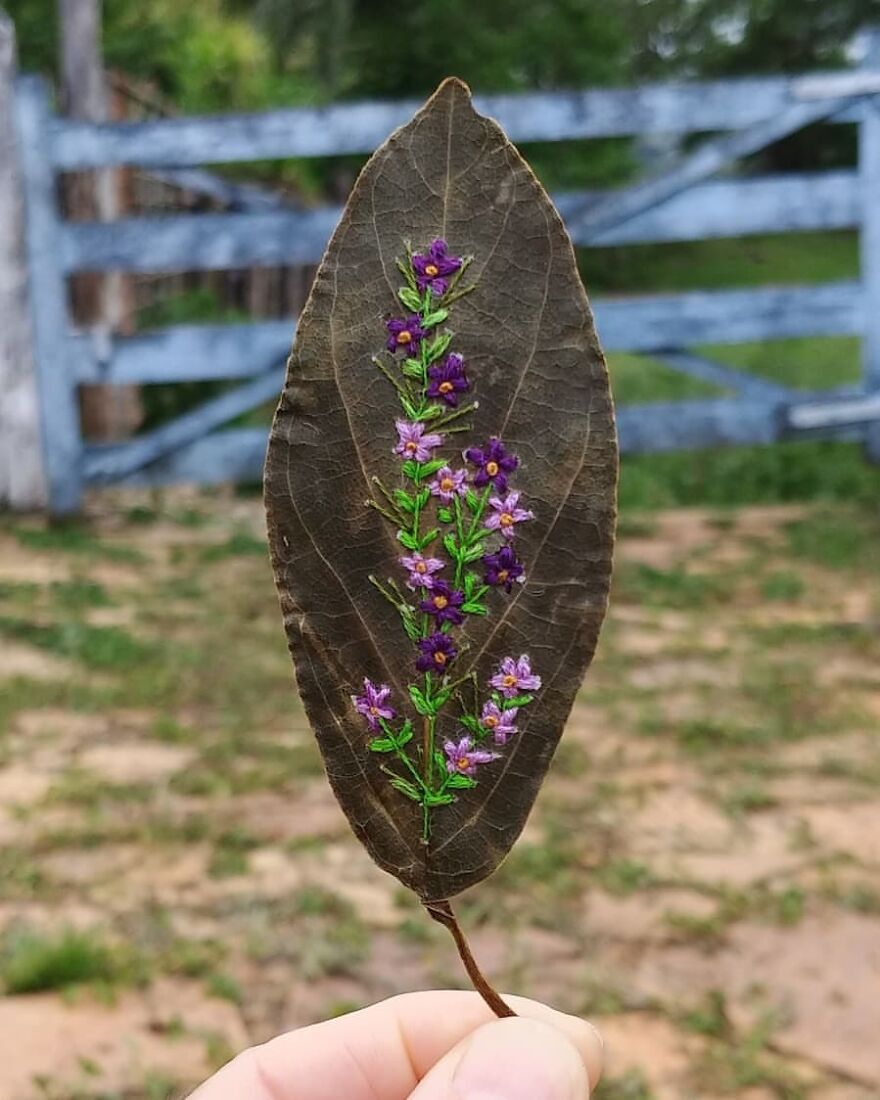 What Nature Discards, This Brazilian Artist Takes The Opportunity To Beautify Life