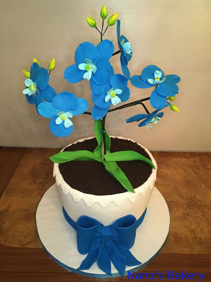 My Aunt's Artistic Cakes (26 Pics)