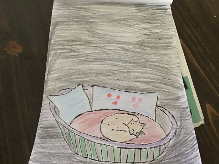 I Did Trace The Cat And Bed...