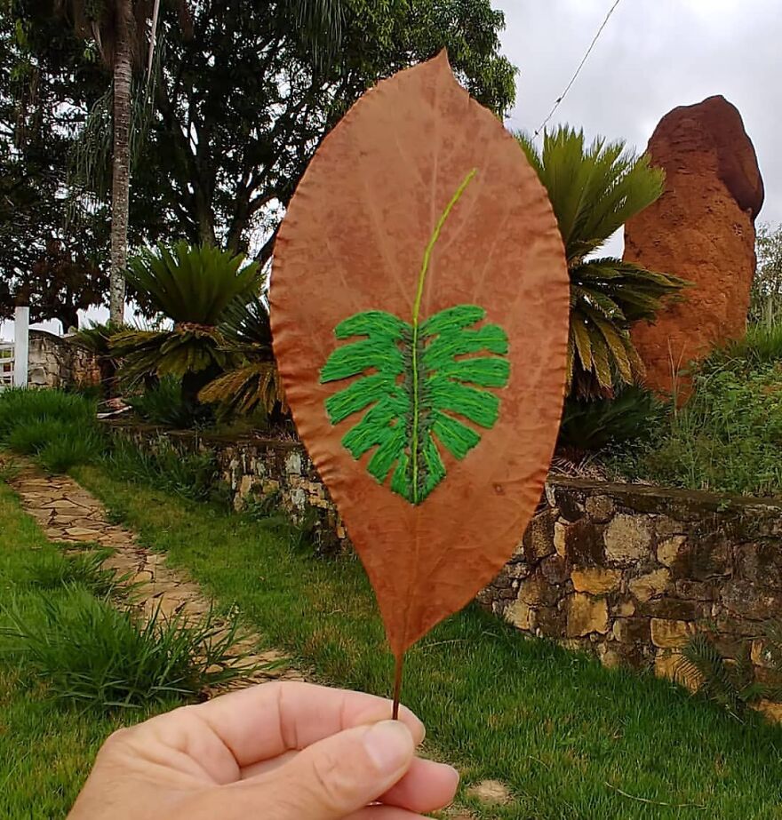 What Nature Discards, This Brazilian Artist Takes The Opportunity To Beautify Life