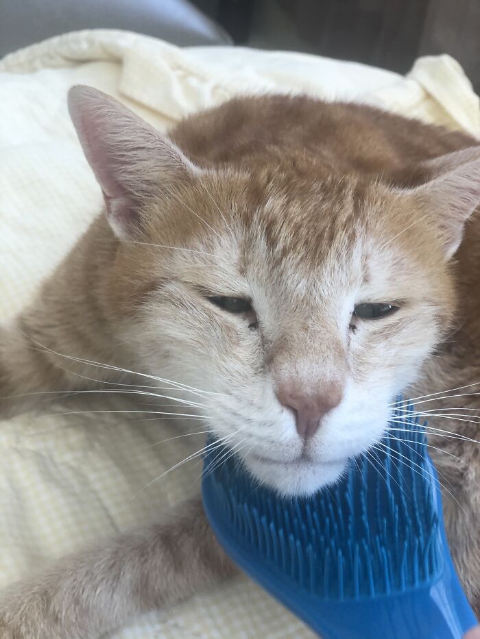 He Rlly Looks Like An Old Man With Those Eyes Xd