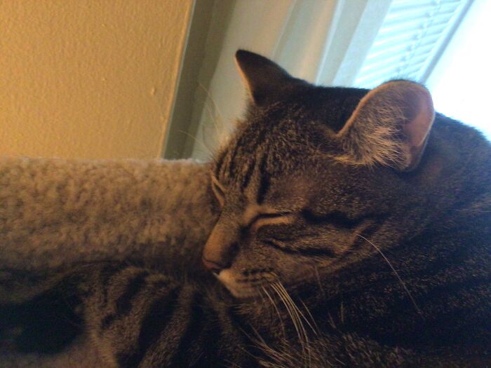 He’s Ignoring Me (By Sleeping)