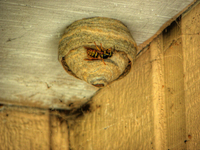 30 People Share How They Realized Their Partner Is 'The One' And How They Got Rid Of Second Thoughts