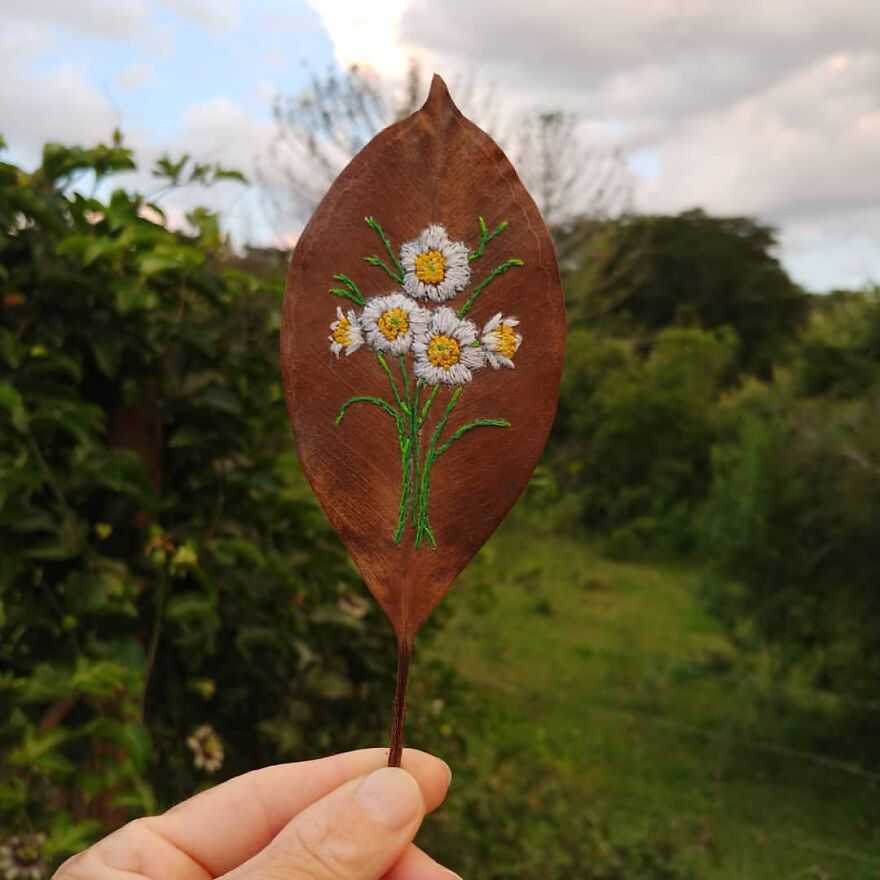 What Nature Discards, This Brazilian Artist Takes The Opportunity To Beautify Life