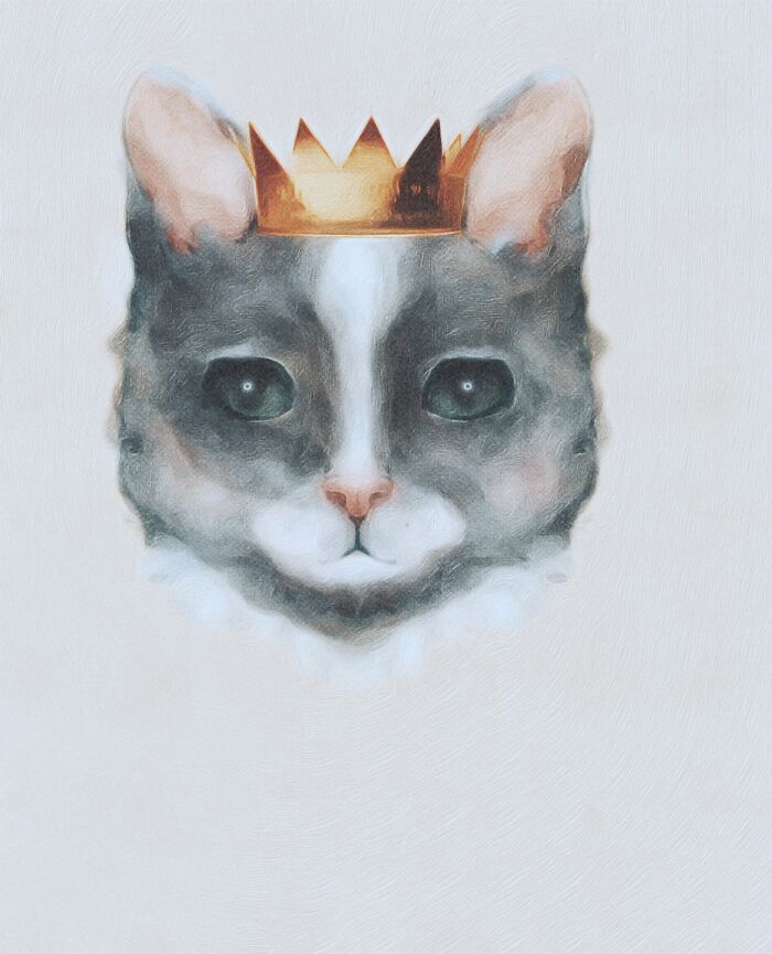 For A Picturebook Im Working On