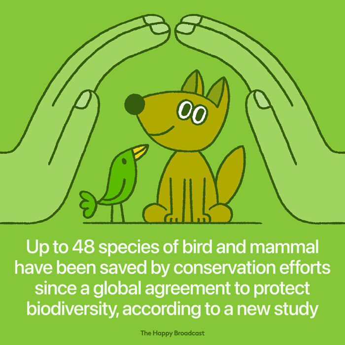 Positive-News-2020-Illustrations-Mauro-Gatti