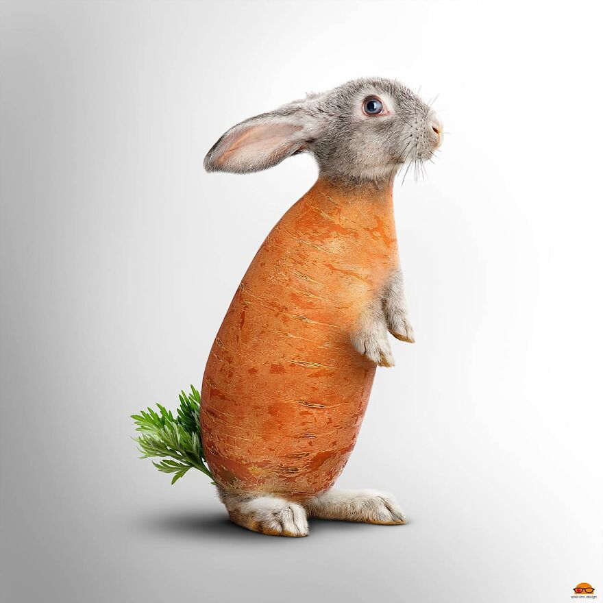 Digital Artist Makes Amazing Image Edits Using Animals, Fruits And Vegetables (120 Pics)