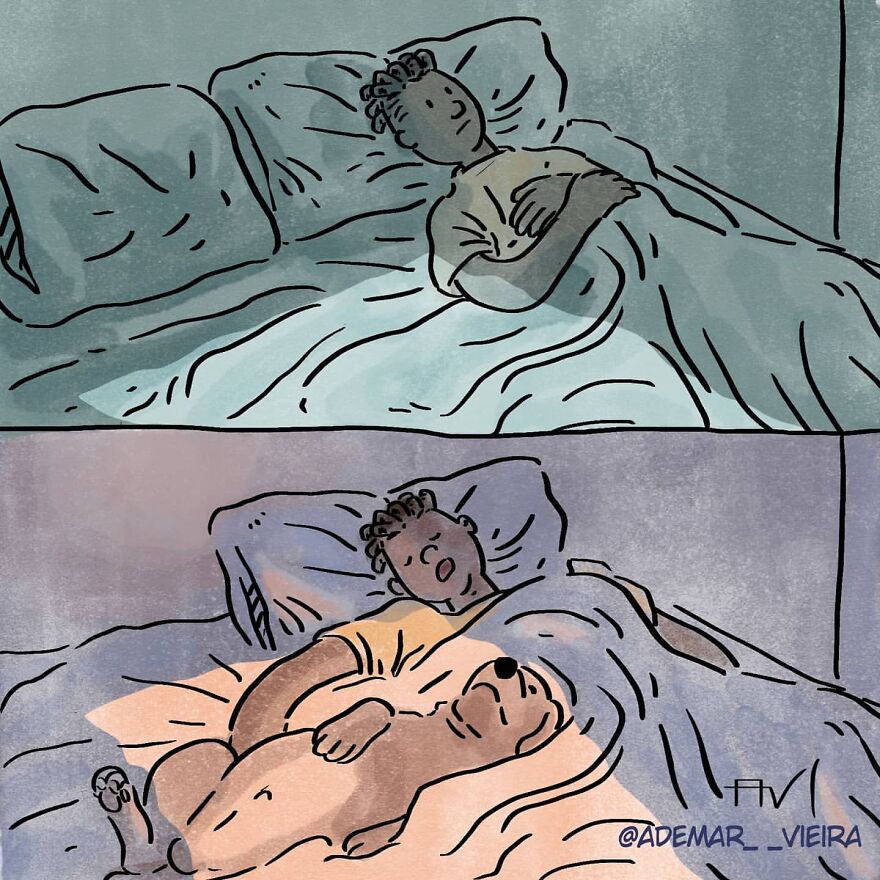 Artist's Comic "The Choice" Shows Two Different Outcomes That Come From Choosing To Have Or Not To Have A Dog Artist's Comic "The Choice" Shows Two Different Outcomes That Come From Choosing To Have Or Not To Have A Dog
