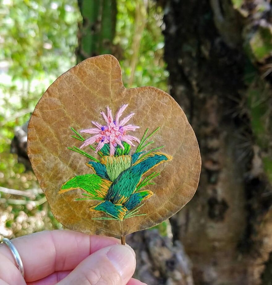 What Nature Discards, This Brazilian Artist Takes The Opportunity To Beautify Life