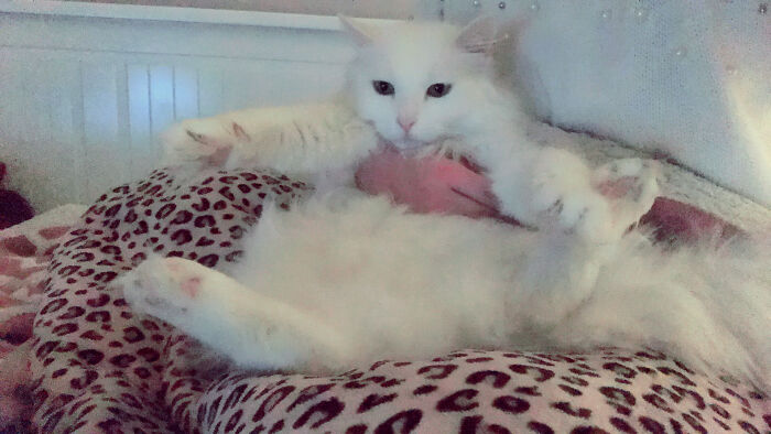 He Likes Sitting Like This Sometimes