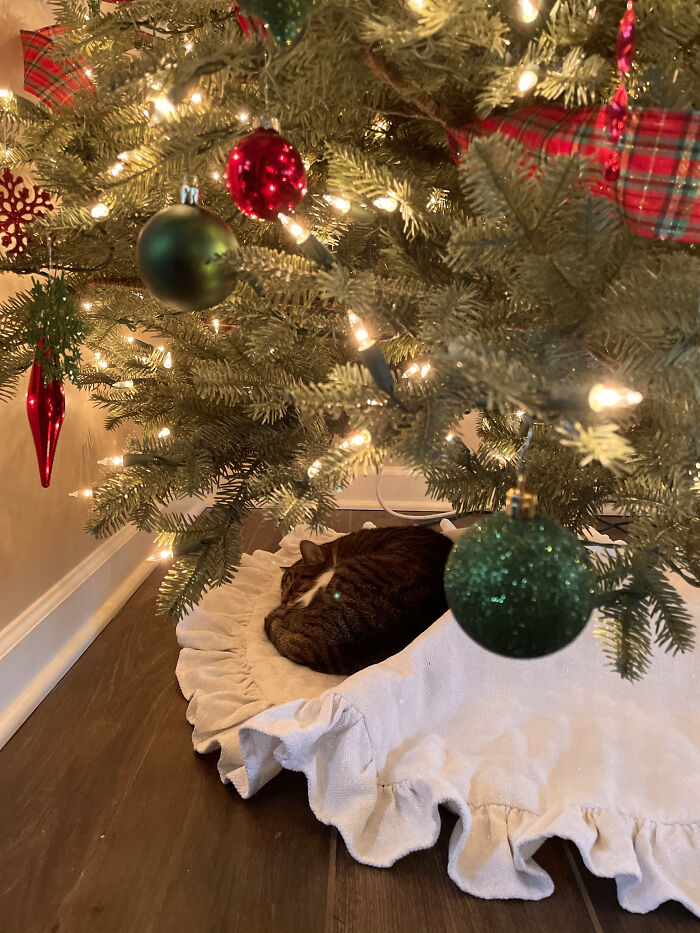 The Best Christmas Present