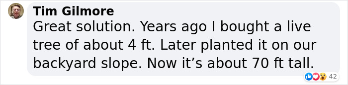 London&rsquo;s Christmas Tree Rental Provides A Solution That Solves The Real VS. Artificial Tree Debate