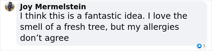 London&rsquo;s Christmas Tree Rental Provides A Solution That Solves The Real VS. Artificial Tree Debate