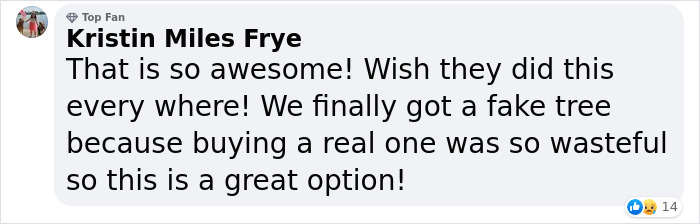 London&rsquo;s Christmas Tree Rental Provides A Solution That Solves The Real VS. Artificial Tree Debate