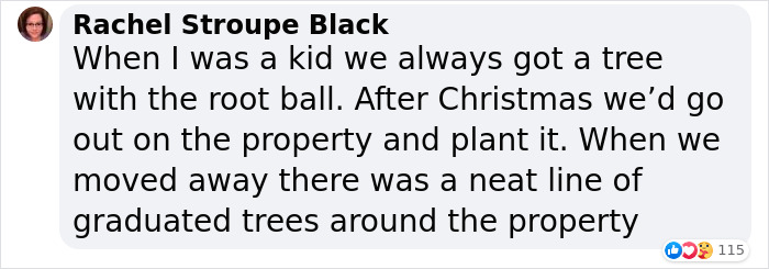 London&rsquo;s Christmas Tree Rental Provides A Solution That Solves The Real VS. Artificial Tree Debate