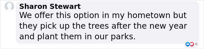 London&rsquo;s Christmas Tree Rental Provides A Solution That Solves The Real VS. Artificial Tree Debate