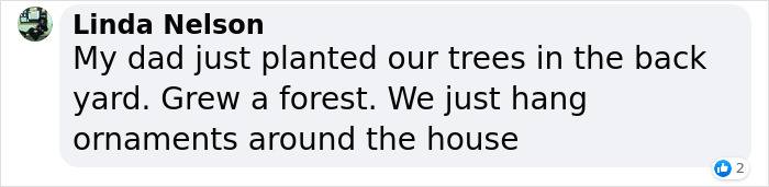 London&rsquo;s Christmas Tree Rental Provides A Solution That Solves The Real VS. Artificial Tree Debate