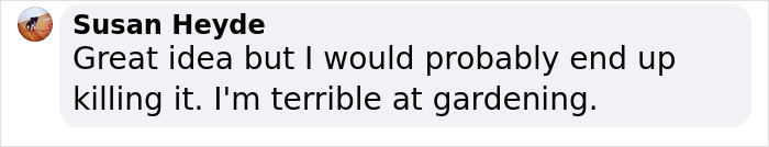 London&rsquo;s Christmas Tree Rental Provides A Solution That Solves The Real VS. Artificial Tree Debate