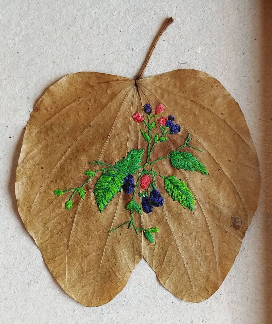 What Nature Discards, This Brazilian Artist Takes The Opportunity To Beautify Life