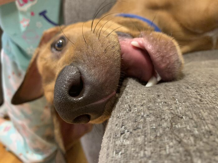 Look At It This Way...