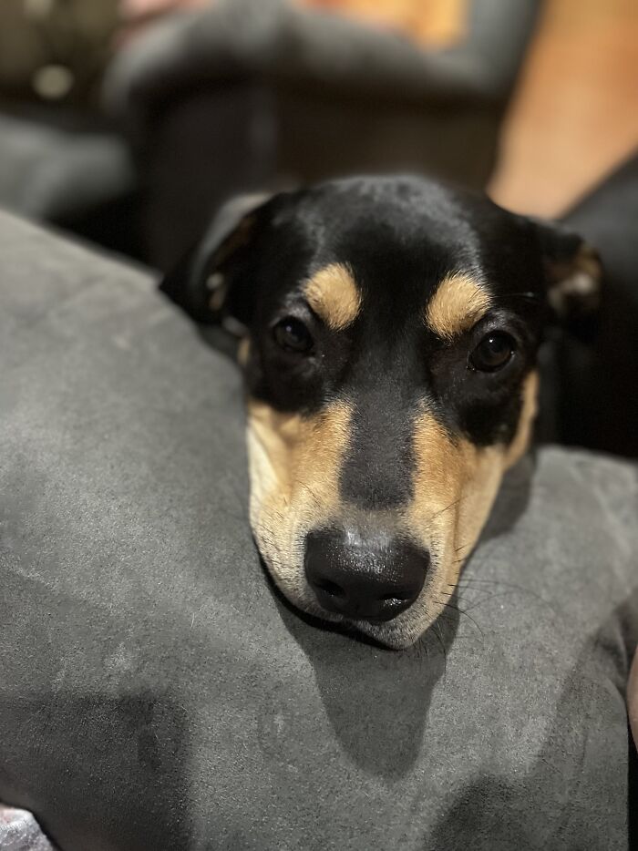 This Is May, Our Rescue And Absolute Terror. ❤️