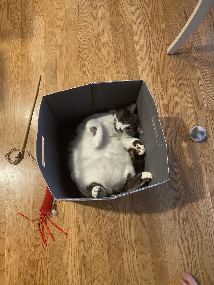 He’s Put On A Few Quarantine Pounds