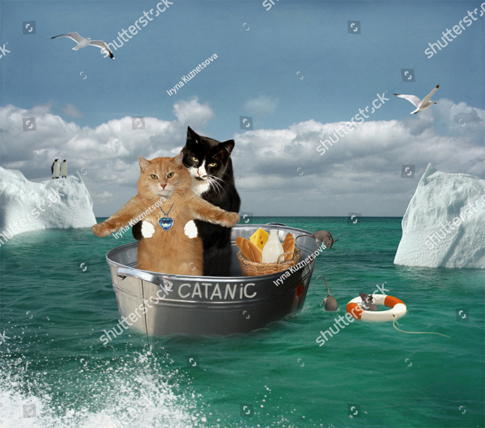 Catanic? Cat+titanic?