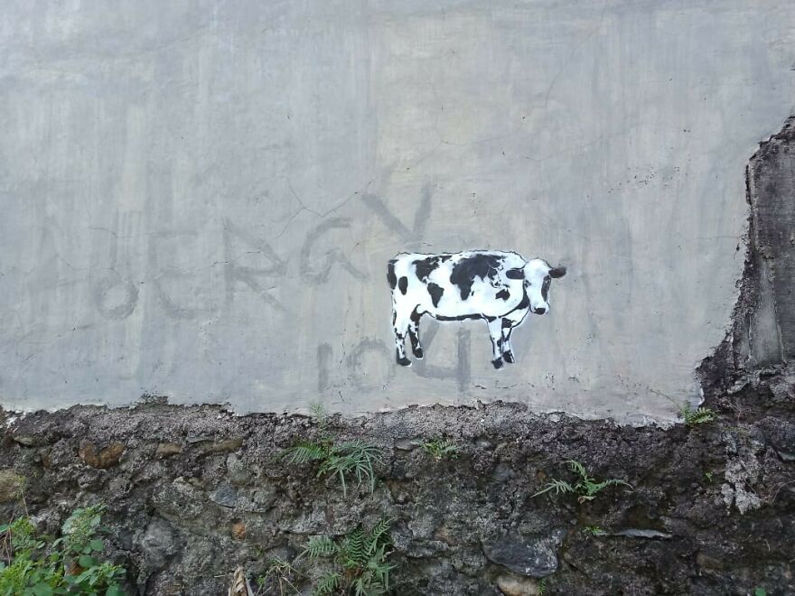 Ochi In Jakarta, Indonesia