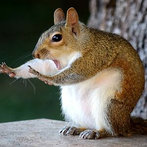 katelyn-mcdonald avatar