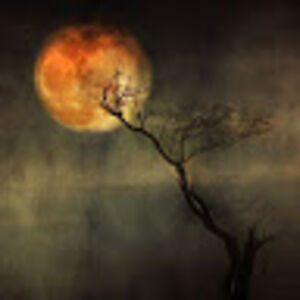 justmeorwhydoihavetohavealastname avatar