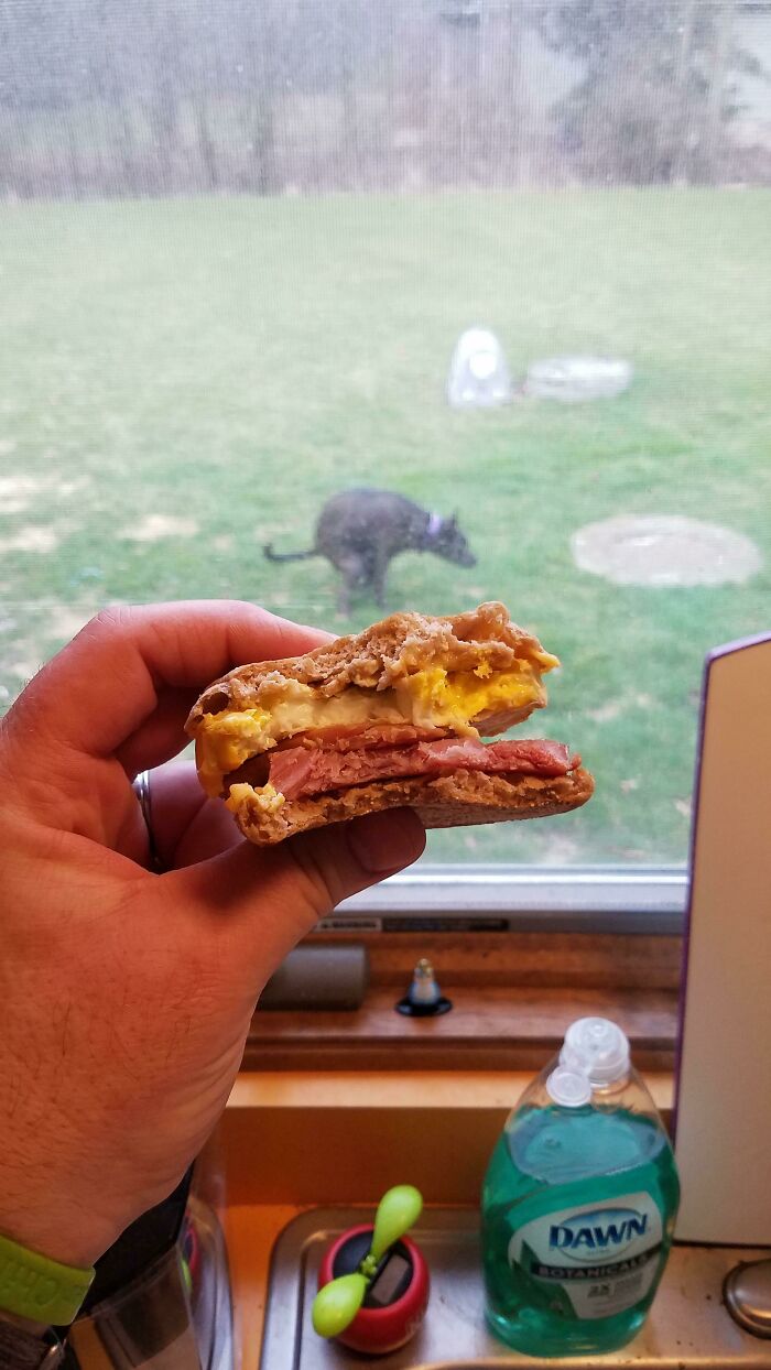 Homemade Egg Mcmuffins