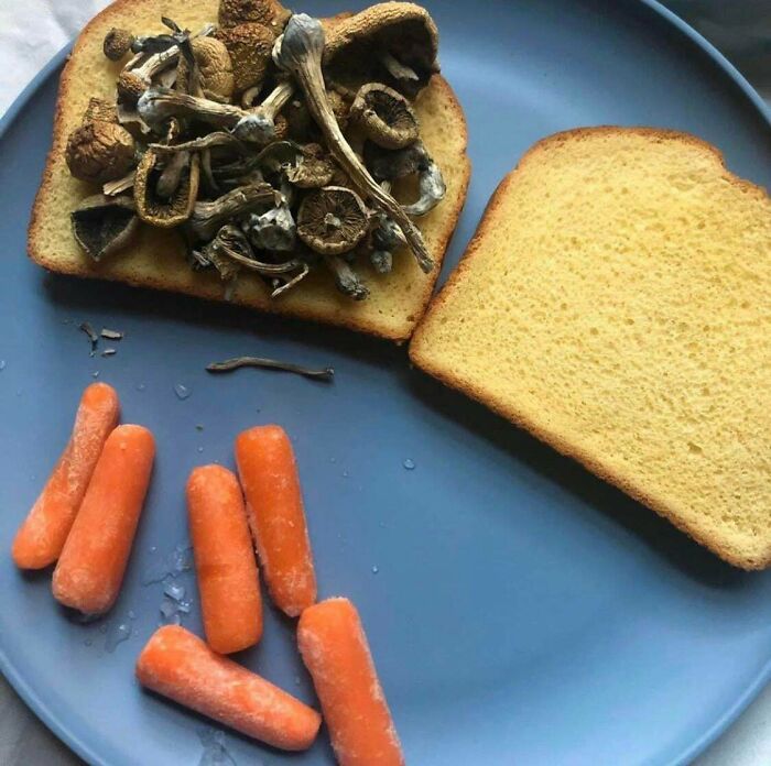 This Vegan Shit Is Easy