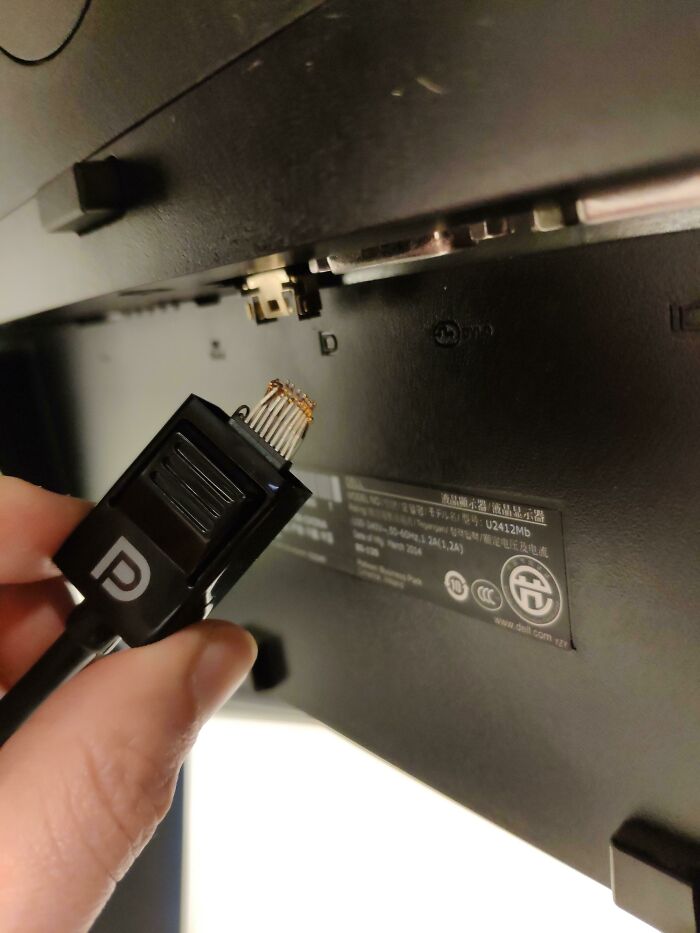 Just Keep Yankin' Pal