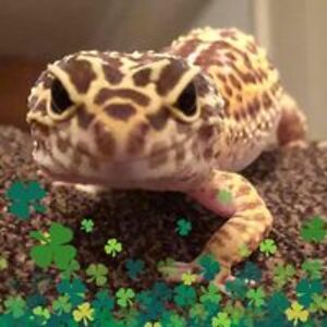 bethanytexas1992 avatar