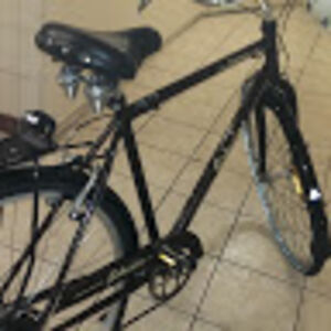 justcurtisfromcanada avatar