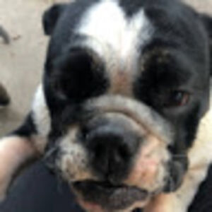 sophiahalstead avatar