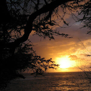 michaellaster avatar