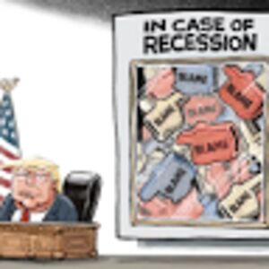 yonatansteiner avatar