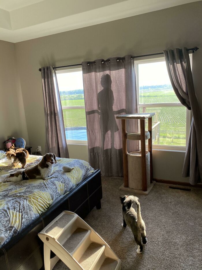 My Son Legitimately Thought I Wouldn't Find Him