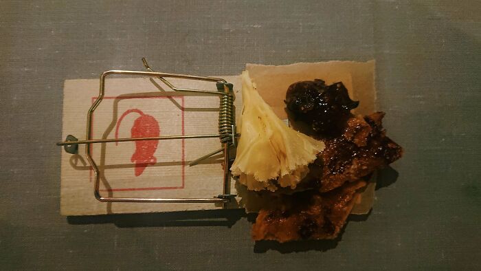 The Waiter Had The Audacity To Joke It Was Loaded