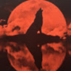 thebloodwolfschild avatar