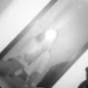 kailynbarbour avatar