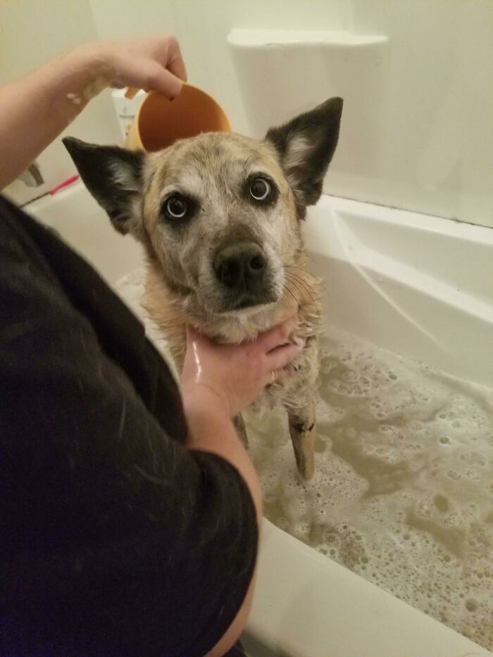 After 5 Days Of Being Lost, We Found Our Baby Against All Odds With All The Health Issues She Has - Everyone, Meet Misty